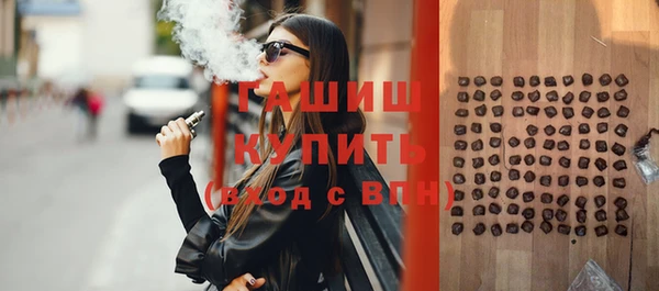 индика Осинники
