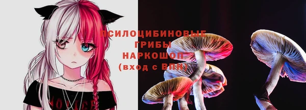 мескалин Баксан