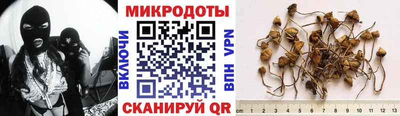 Псилоцибиновые грибы MAGIC MUSHROOMS  omg маркетплейс  Чегем 